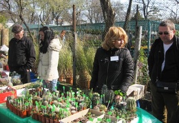Выставка 11-12 апреля 2009 (Одесса)