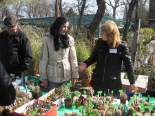 Выставка 11-12 апреля 2009 (Одесса)