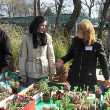 Выставка 11-12 апреля 2009 (Одесса)