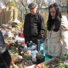 Выставка 11-12 апреля 2009 (Одесса)