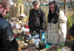 Выставка 11-12 апреля 2009 (Одесса)