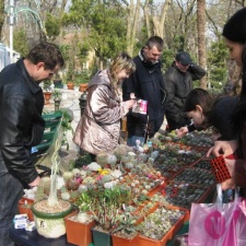 Выставка 11-12 апреля 2009 (Одесса)