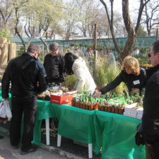 Выставка 11-12 апреля 2009 (Одесса)