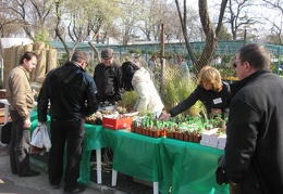 Выставка 11-12 апреля 2009 (Одесса)