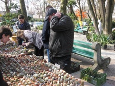 Выставка 11-12 апреля 2009 (Одесса)