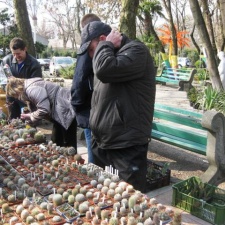 Выставка 11-12 апреля 2009 (Одесса)