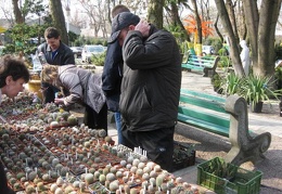 Выставка 11-12 апреля 2009 (Одесса)