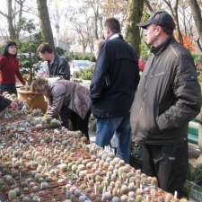 Выставка 11-12 апреля 2009 (Одесса)