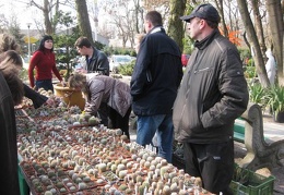 Выставка 11-12 апреля 2009 (Одесса)