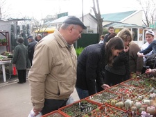 Выставка 11-12 апреля 2009 (Одесса)