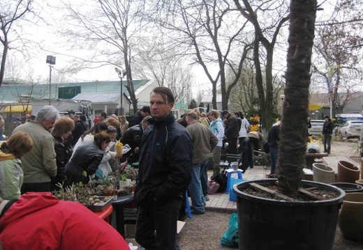 Выставка 11-12 апреля 2009 (Одесса)