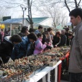 Выставка 11-12 апреля 2009 (Одесса)
