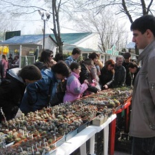 Выставка 11-12 апреля 2009 (Одесса)
