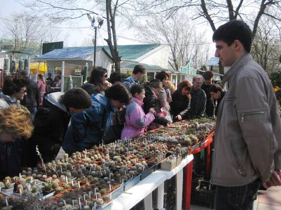 Выставка 11-12 апреля 2009 (Одесса)