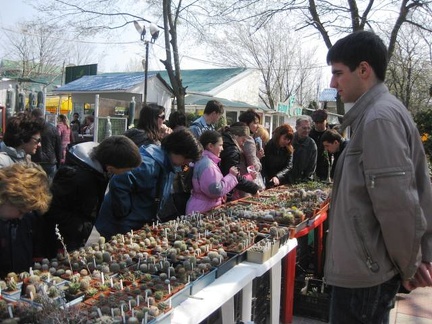 Выставка 11-12 апреля 2009 (Одесса)