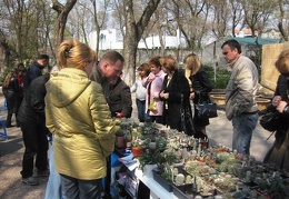 Выставка 11-12 апреля 2009 (Одесса)