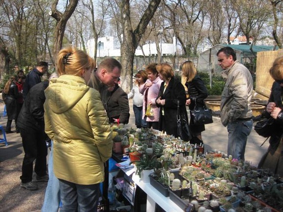 Выставка 11-12 апреля 2009 (Одесса)