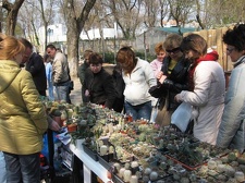 Выставка 11-12 апреля 2009 (Одесса)