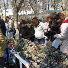 Выставка 11-12 апреля 2009 (Одесса)