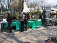 Выставка 11-12 апреля 2009 (Одесса)