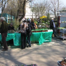 Выставка 11-12 апреля 2009 (Одесса)