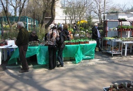 Выставка 11-12 апреля 2009 (Одесса)