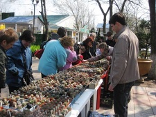 Выставка 11-12 апреля 2009 (Одесса)