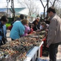 Выставка 11-12 апреля 2009 (Одесса)