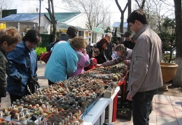 Выставка 11-12 апреля 2009 (Одесса)