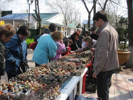 Выставка 11-12 апреля 2009 (Одесса)