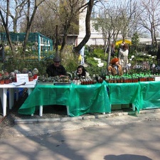 Выставка 11-12 апреля 2009 (Одесса)