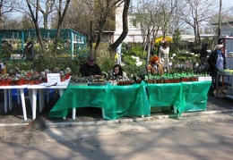 Выставка 11-12 апреля 2009 (Одесса)