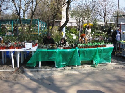 Выставка 11-12 апреля 2009 (Одесса)