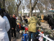 Выставка 11-12 апреля 2009 (Одесса)