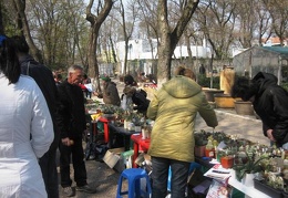 Выставка 11-12 апреля 2009 (Одесса)