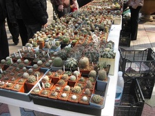 Выставка 11-12 апреля 2009 (Одесса)