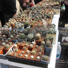 Выставка 11-12 апреля 2009 (Одесса)