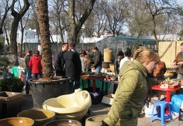 Выставка 11-12 апреля 2009 (Одесса)