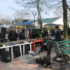 Выставка 11-12 апреля 2009 (Одесса)