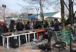 Выставка 11-12 апреля 2009 (Одесса)