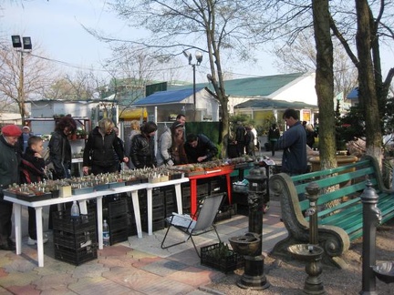 Выставка 11-12 апреля 2009 (Одесса)