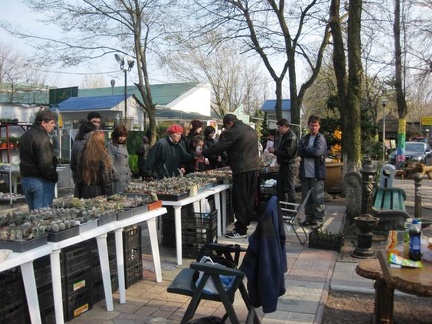 Выставка 11-12 апреля 2009 (Одесса)