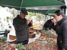 Выставка 16-18.04.2010 в &quot;Ваш сад&quot;