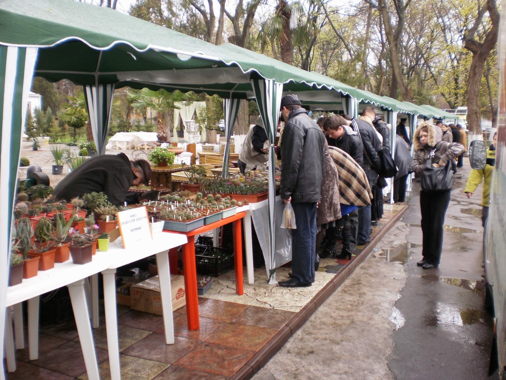 Выставка 16-18.04.2010 в &quot;Ваш сад&quot;