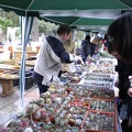 Выставка 16-18.04.2010 в &quot;Ваш сад&quot;