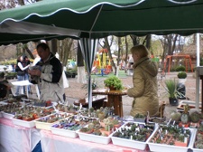 Выставка 16-18.04.2010 в &quot;Ваш сад&quot;