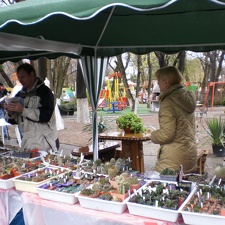 Выставка 16-18.04.2010 в &quot;Ваш сад&quot;