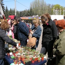Выставка 19-20 апреля 2008 (Одесса)