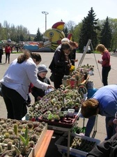 Выставка 19-20 апреля 2008 (Одесса)