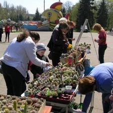 Выставка 19-20 апреля 2008 (Одесса)